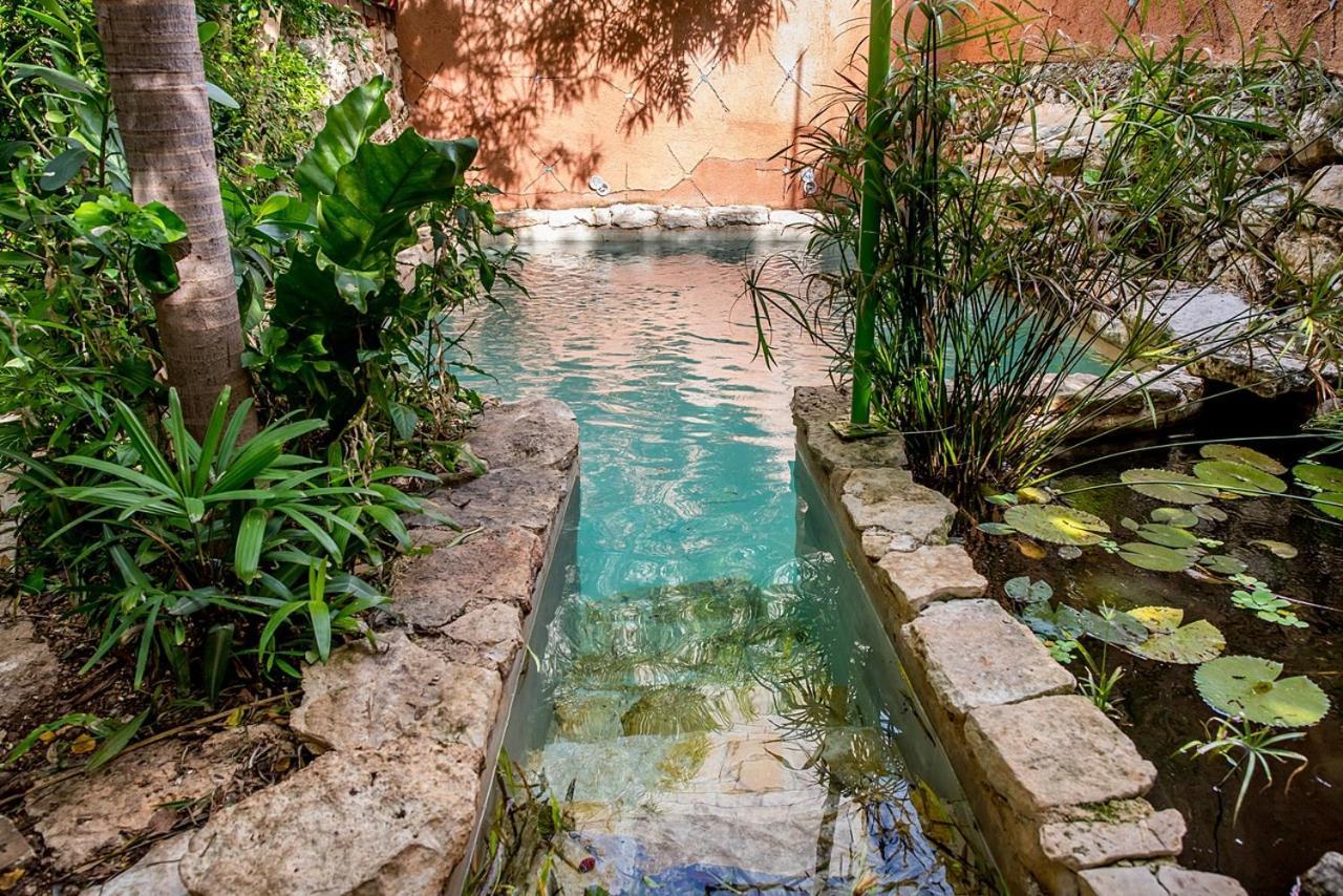Pueblo Maya By Majikal B&B Mérida Exteriör bild